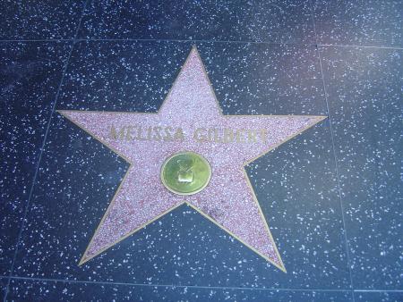 Melissa Gilbert