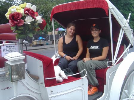 Les caleches de Central Park