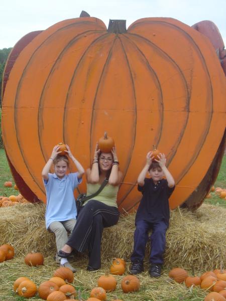 Pumpkin Patch